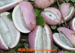 恩施酒店吃瓜视频