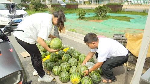 吃瓜系统15,带你领略全新社交体验