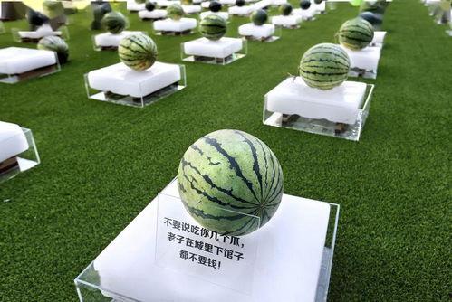 520吃瓜送什么,这份礼物让你瓜分甜蜜与惊喜