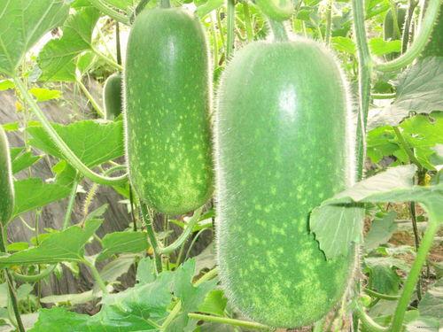 坐观吃瓜后续,揭秘娱乐圈背后的真相与风云变幻