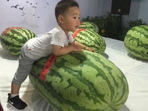 上饶吃瓜群众事件,一场网络舆论的风暴与反思