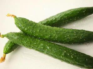 可以过年吃的瓜