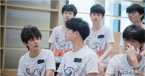 瓶子直播吃瓜大会,一场别开生面的吃瓜盛宴