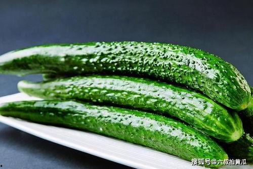 高原小圆瓜怎么吃,高原小圆瓜的多彩食法探索