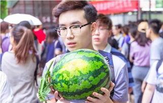 吃瓜学费,校园里的另类经济现象