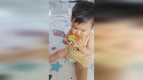 周岁宝宝吃蜜瓜,开启健康成长之旅