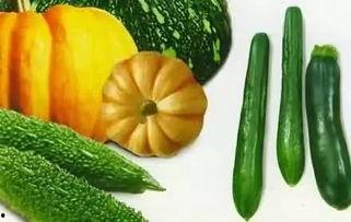 田辉吃瓜,揭秘娱乐圈幕后故事