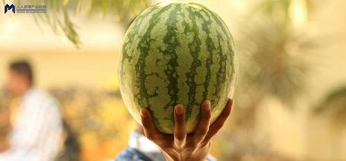 吃瓜最新事件介绍,吃瓜群众聚焦最新事件